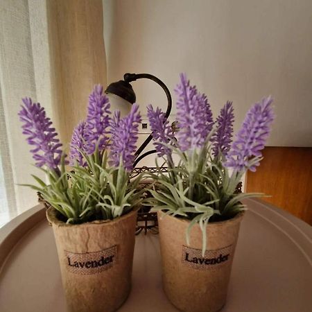 Levanda House PalaiónTsiflíkion Kültér fotó